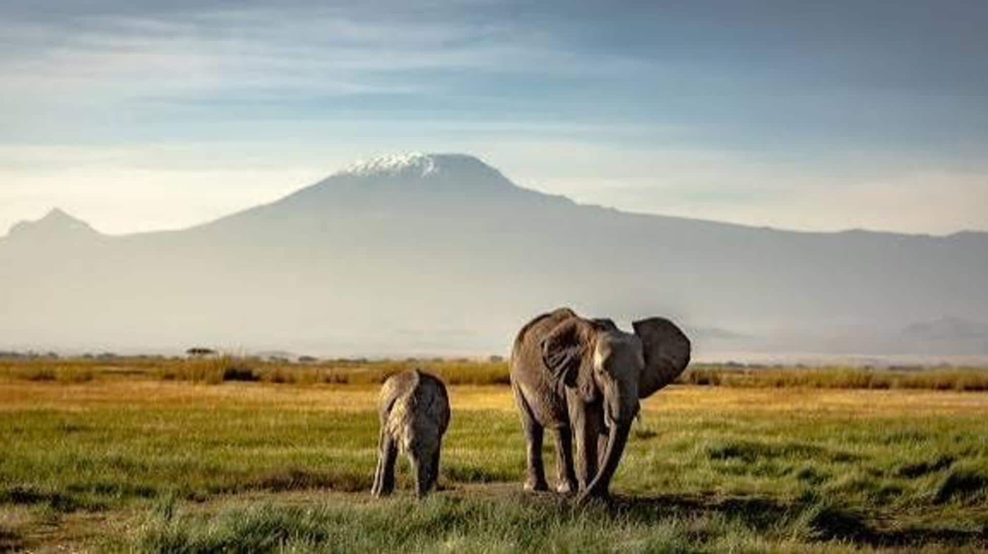 You must visit these wildlife sanctuaries in Botswana