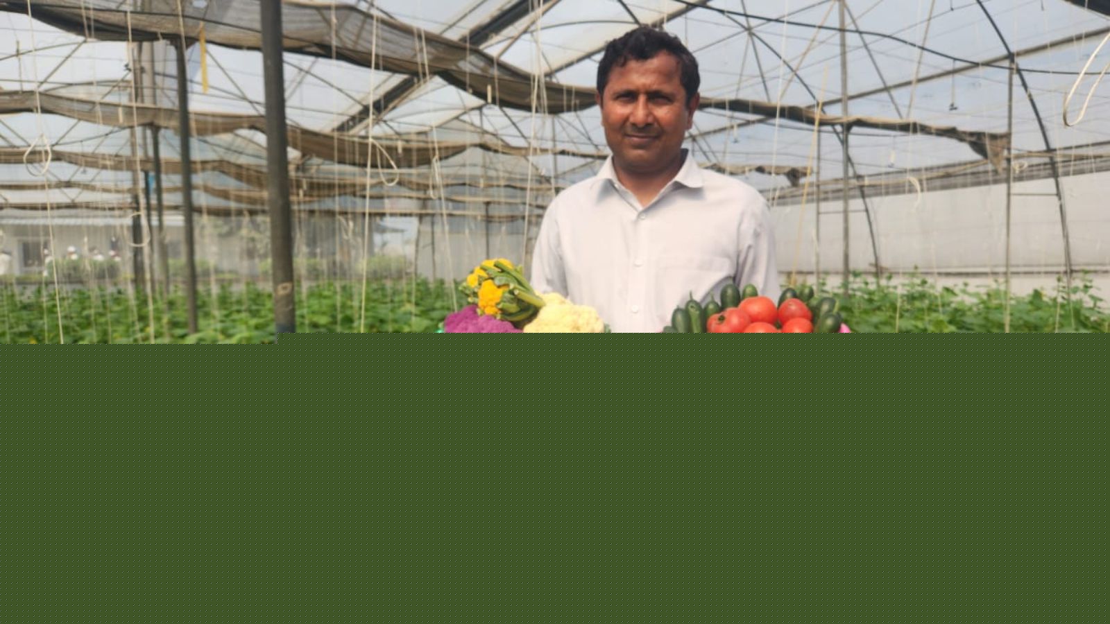 Left teaching for farming, Haryana professor earns crores from polyhouse business