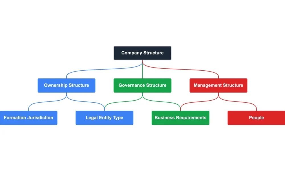 Setting Up a New Company: Why Your Business Structure Matters