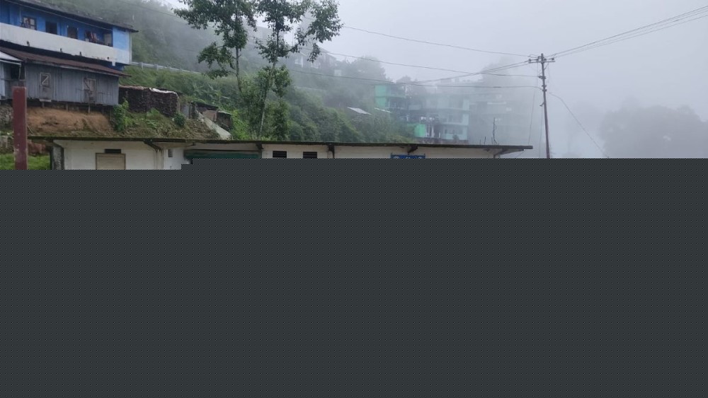 ASF spreads across Zunheboto
