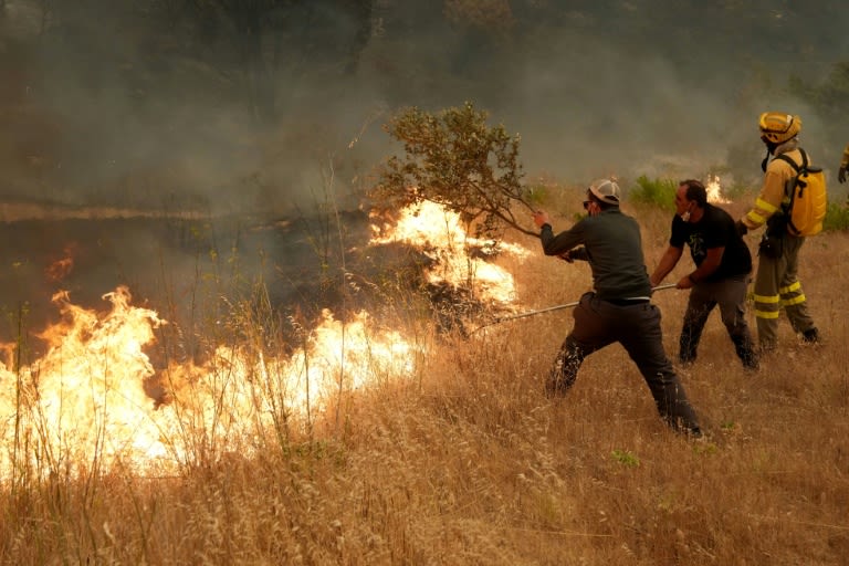 Spain fights to 'save lives' as wildfire evacuees shelter in Madrid