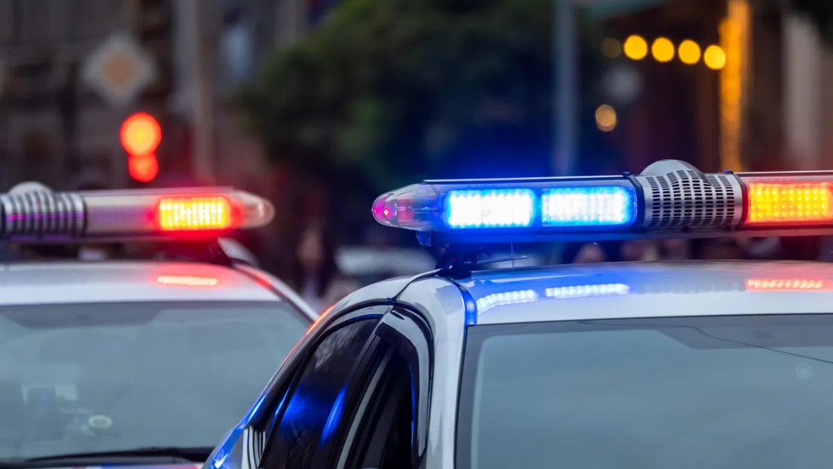 Halton Police launch new unit to address intimate partner violence