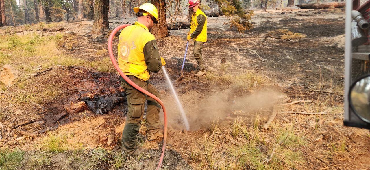 Shingle Fire outside Michell continues to show no new growth