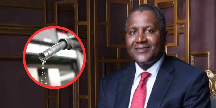 Dangote Wants Government Protection for Ksh2.2 Trillion Lamu Refinery