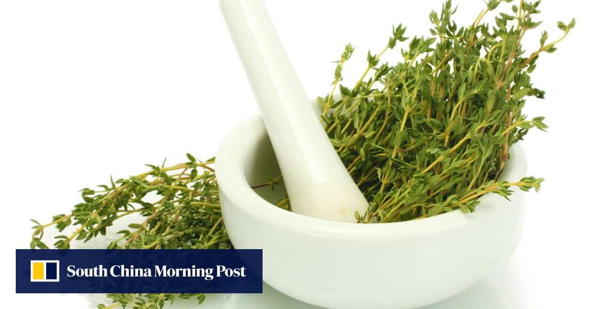 Why thyme is so fine, plus a delicious stuffed pork chop recipe using it