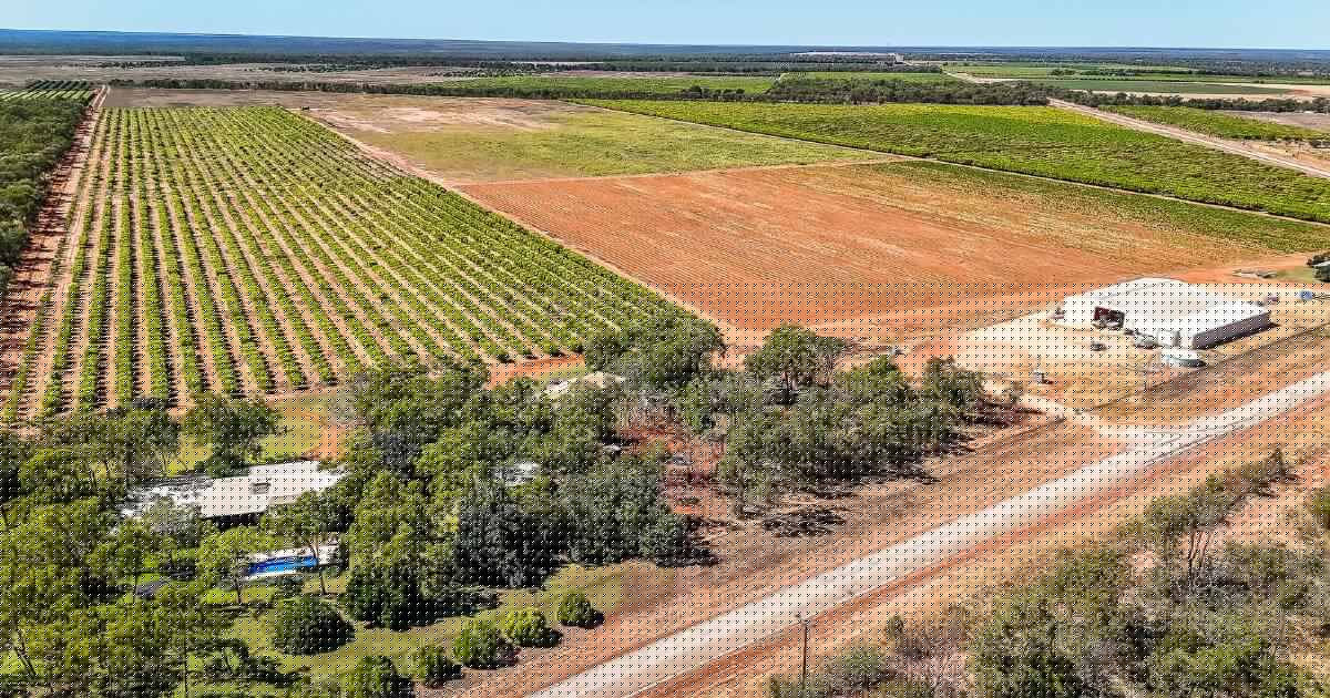 Katherine's Coles, Woolworths fruit supplier hits the market