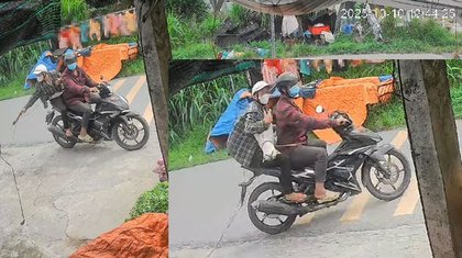 Nhức nhối nạn trộm cắp và buôn bán chó, mèo
