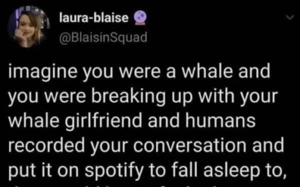 /r/OddlySpecific / Oddly Specific - Can't grieve in peace