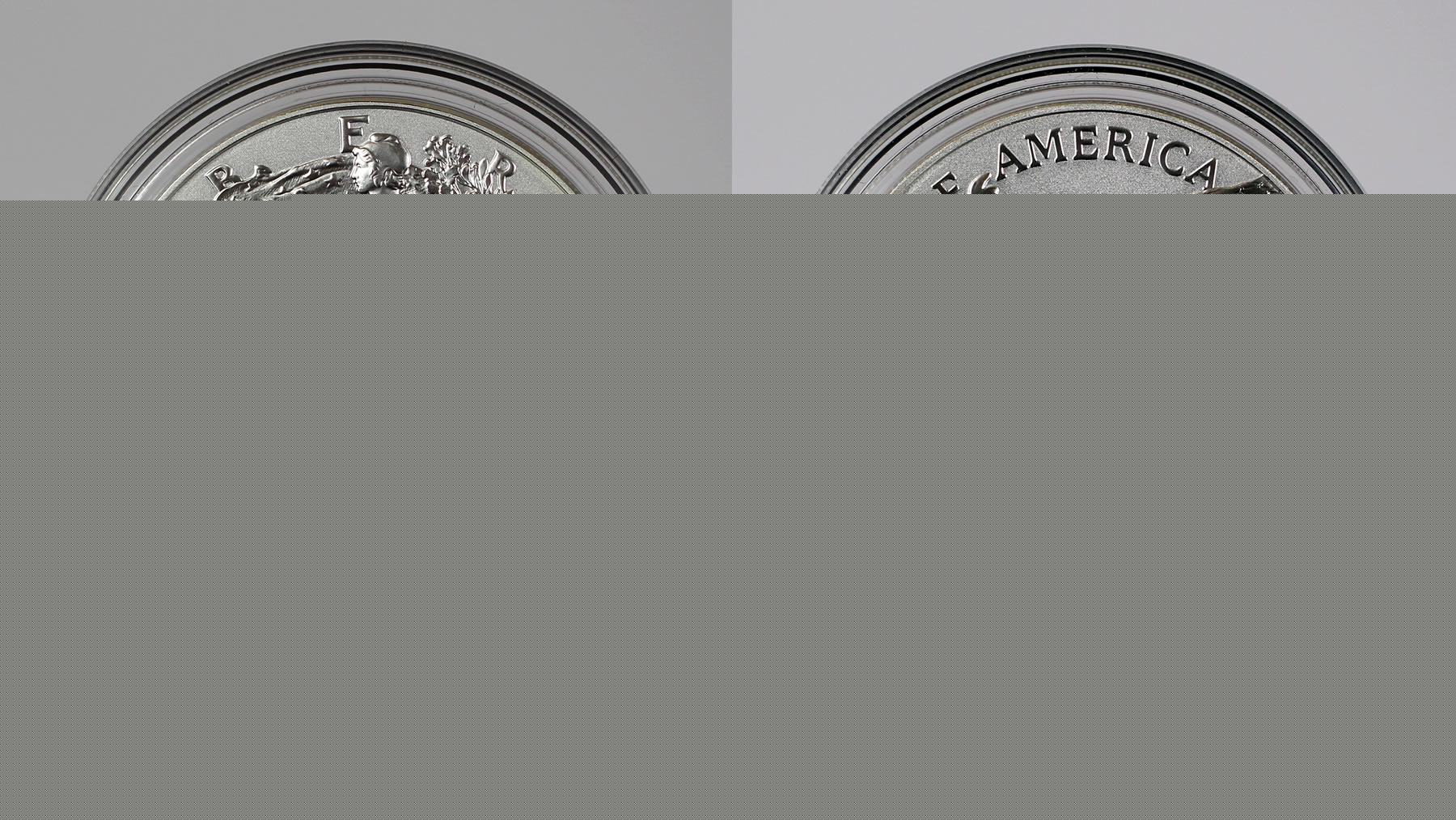 Comment on US Mint Sales: 1776-2026 Enhanced Uncirculated Silver Eagle Gone in 3 Minutes by VinnieC