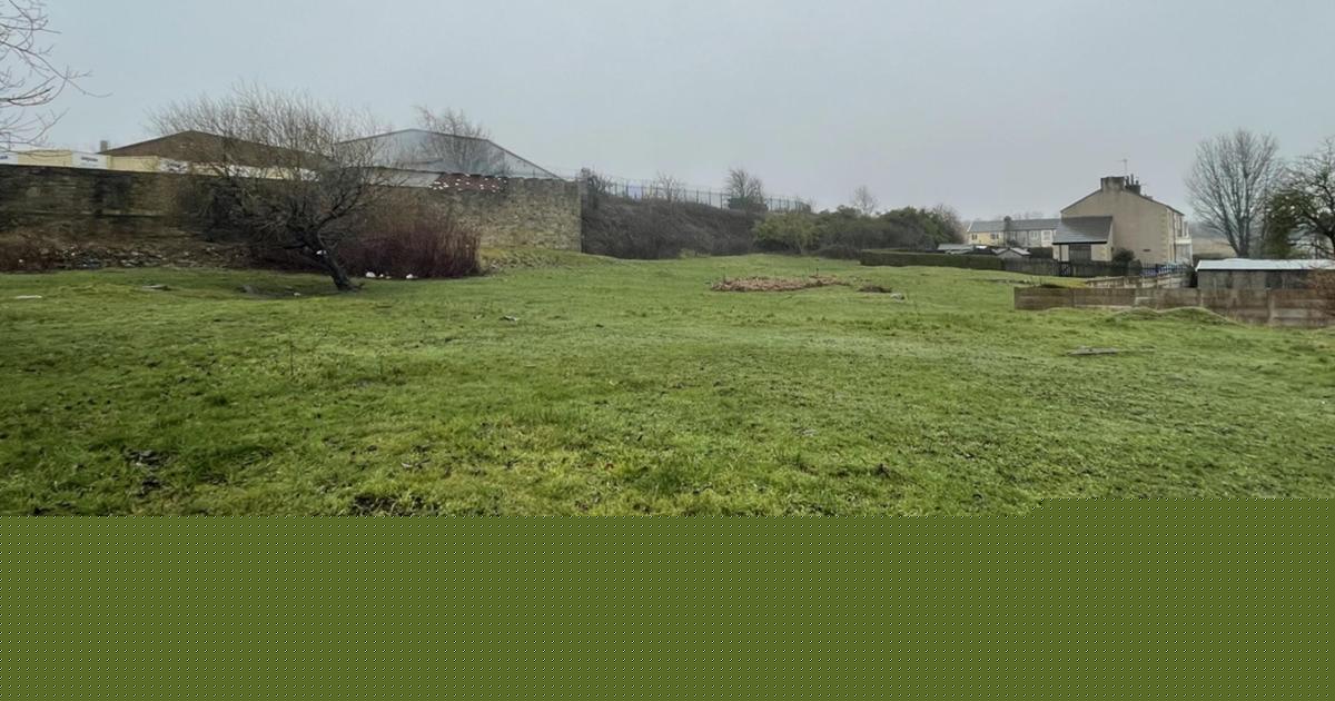 Two Council owned plots of land sell for way above guide prices at auction
