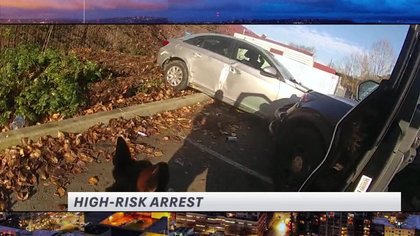 The Spotlight: High-risk sex offender arrest