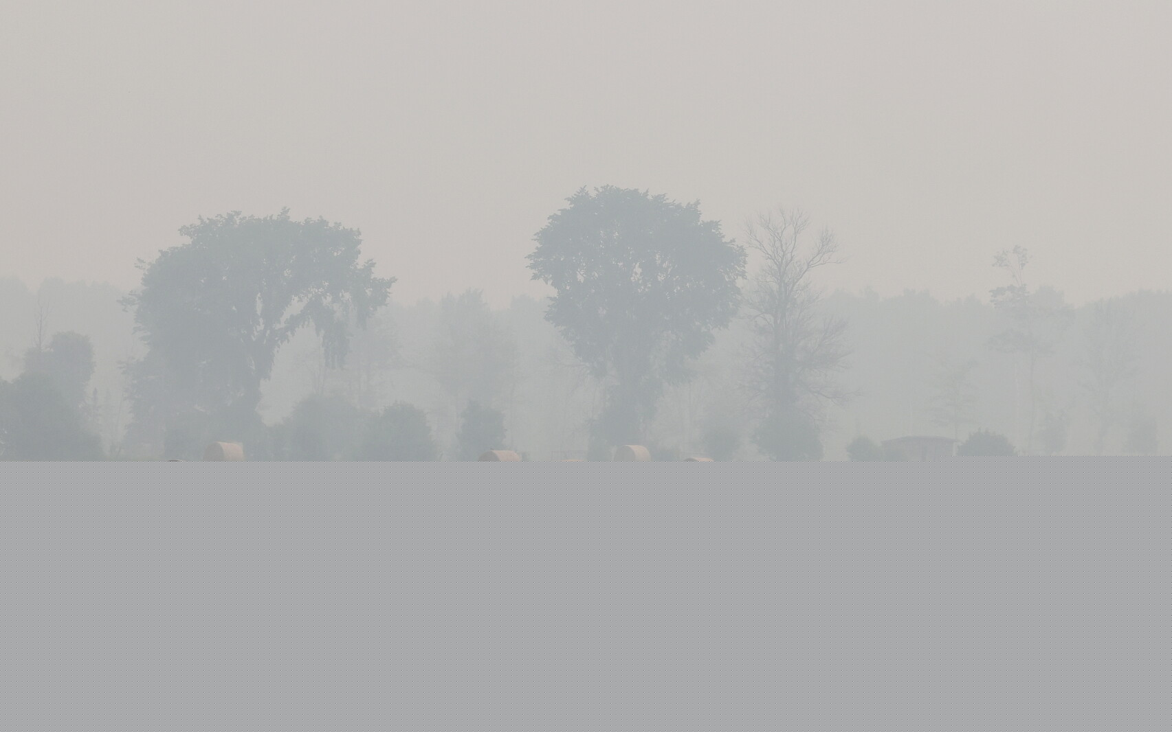 Ask a Master Gardener: Will the wildfire smoke make my garden vegetables inedible?
