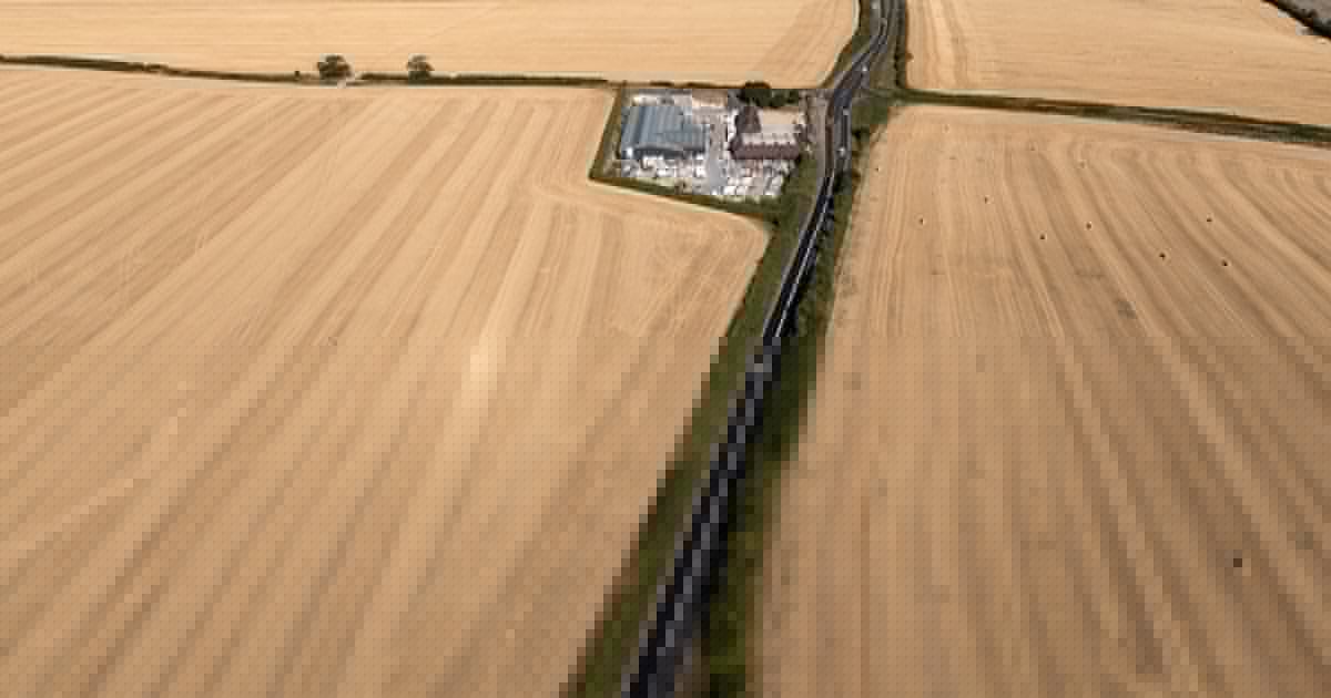 ‘Brutal’ harvest could be worst on record because of extreme summer – analysis