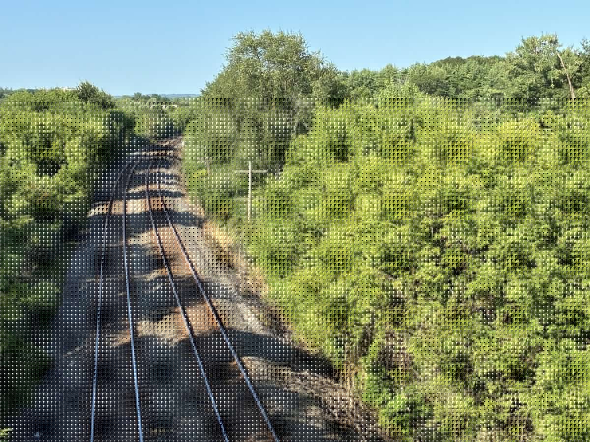 Kingston environmentalists call for development to be stopped