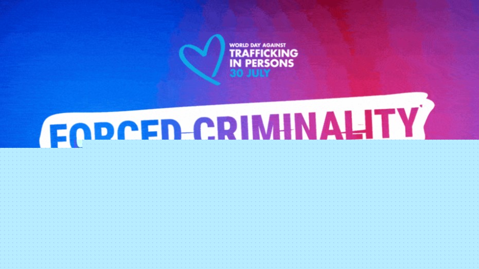 “Trapped Behind the Scam”: IOM Warns Trafficking Victims Are Being Forced into Scam Networks