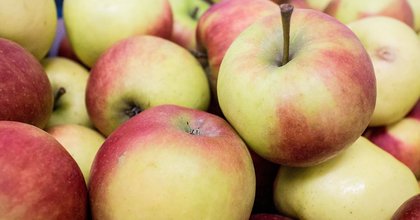 Des ONG alertent: 85% des pommes vendues en Europe sont contaminées par des cocktails de pesticides
