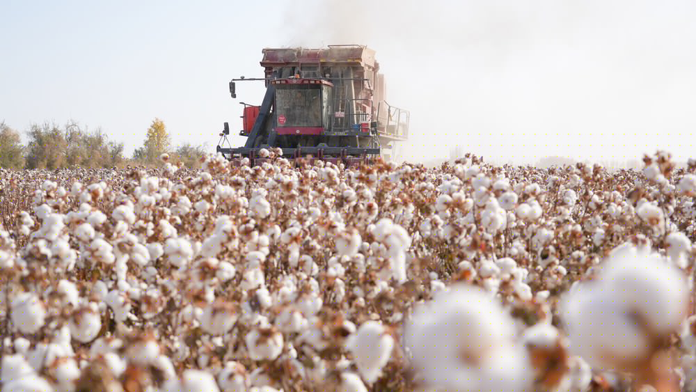 China Calls UFLPA List Expansion a ‘Classic Act of Economic Coercion’