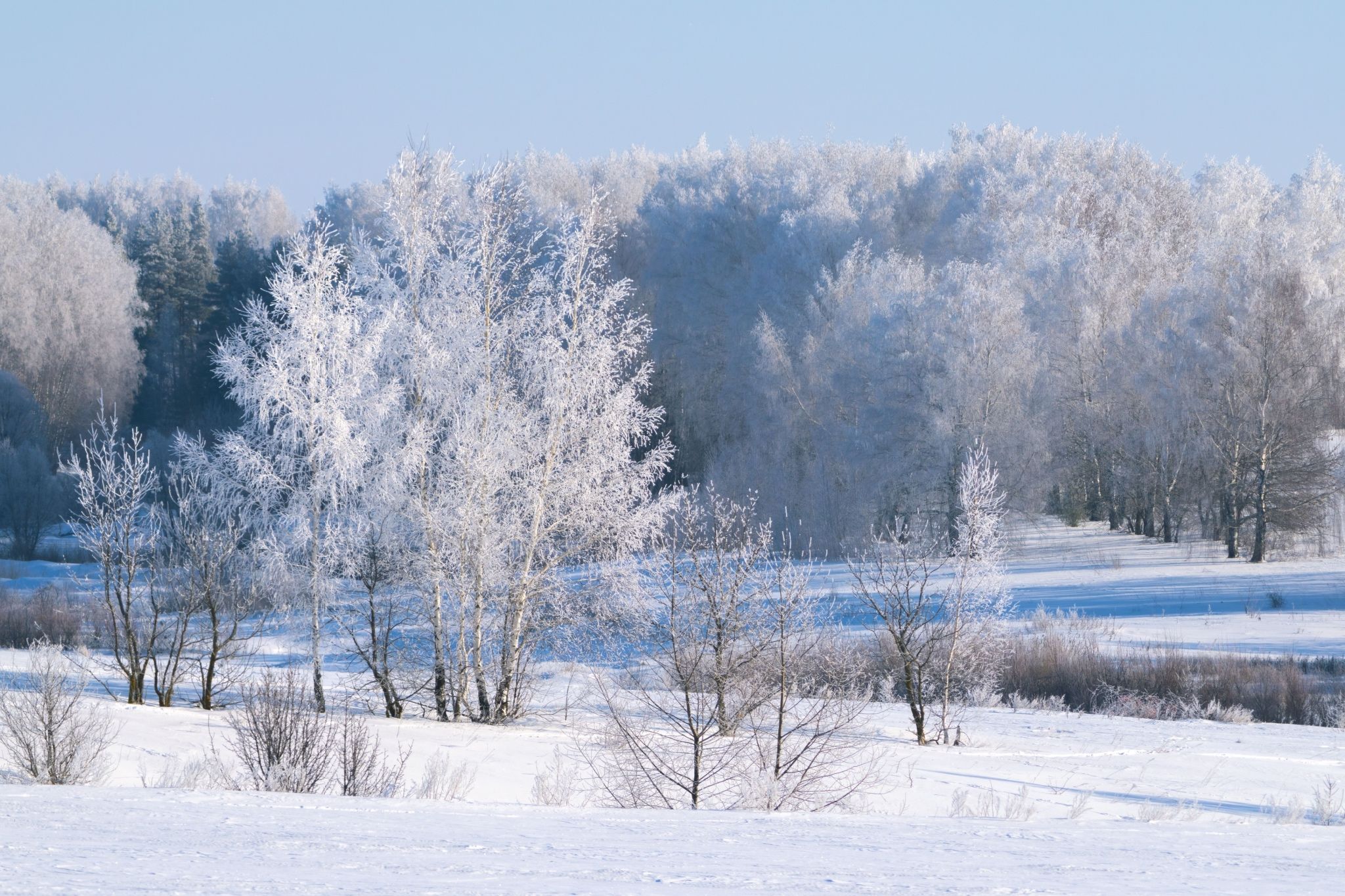 The February forecast for Alberta is out and we're in for such a weather treat