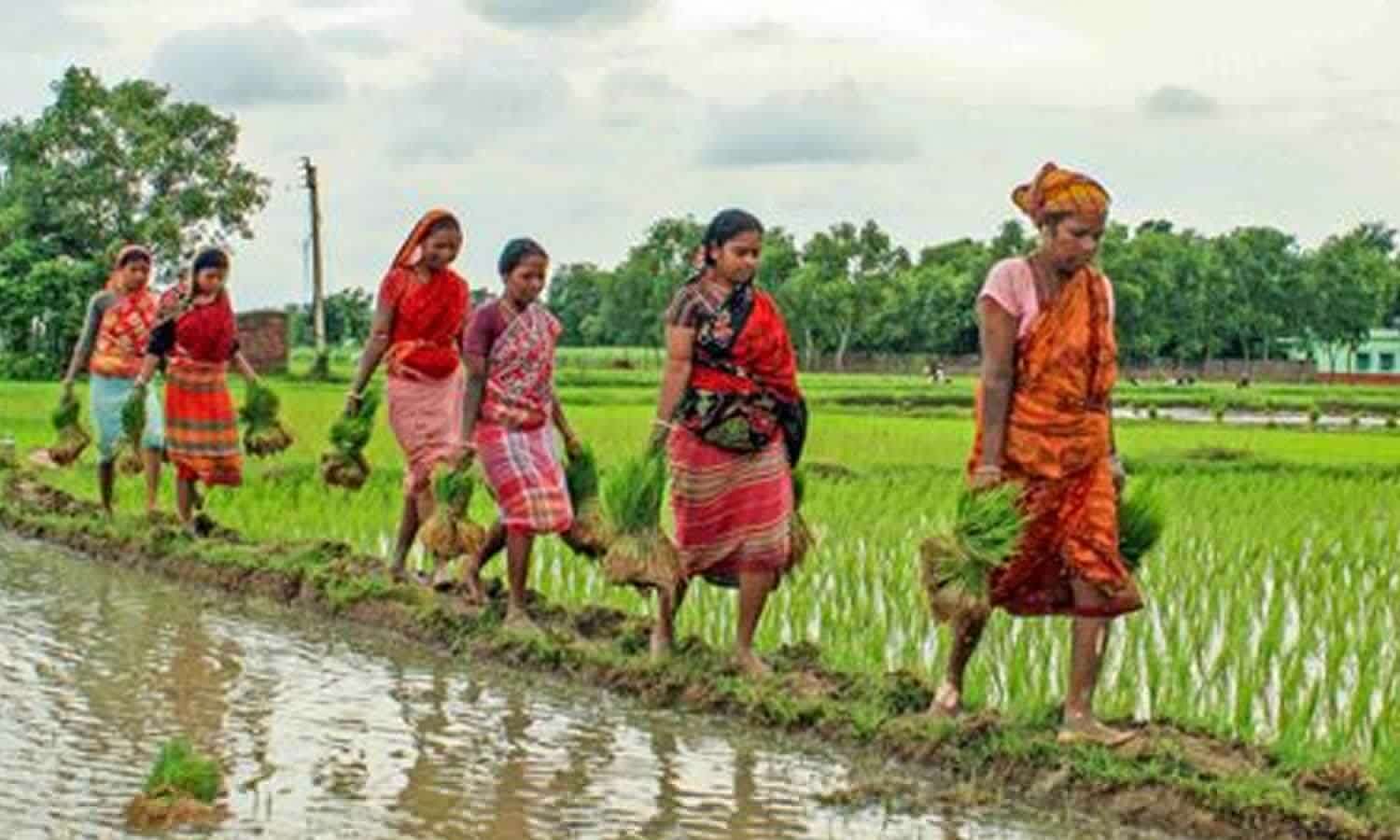Total crop area crosses 967 Lakh hectares in Kharif