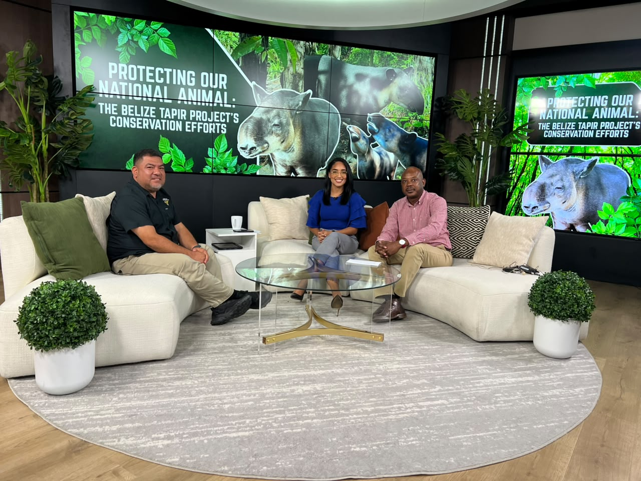 Protecting Belize’s National Animal: The Belize Tapir Project’s Conservation Efforts