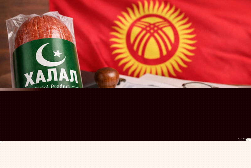 Kyrgyzstan proposes unified national halal mark and certification system