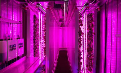 YES! On Air: Why This Montana Farmer Grows Food Year-Round in Shipping Containers