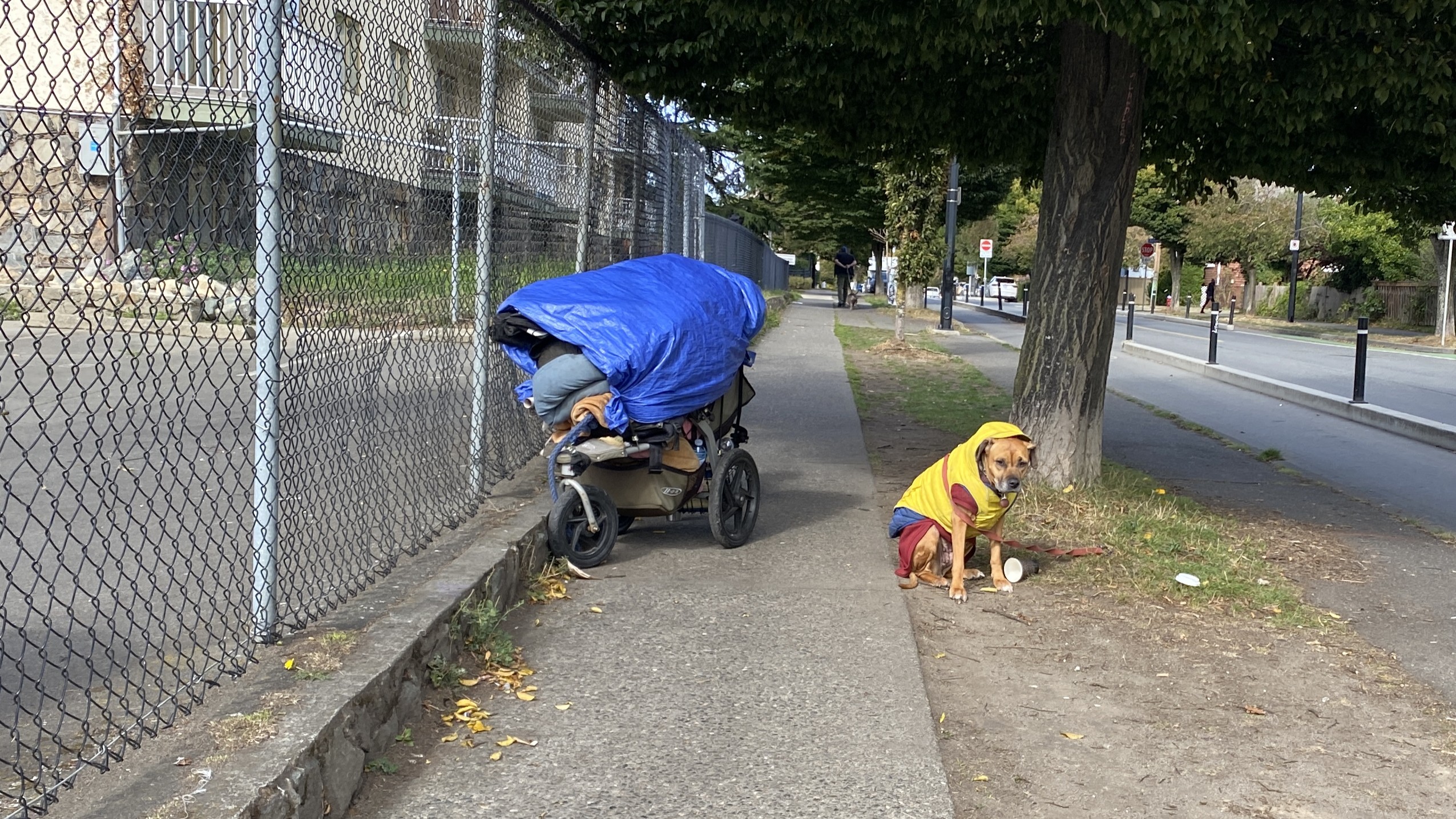 Homelessness rises in 60 per cent of B.C. communities in latest count