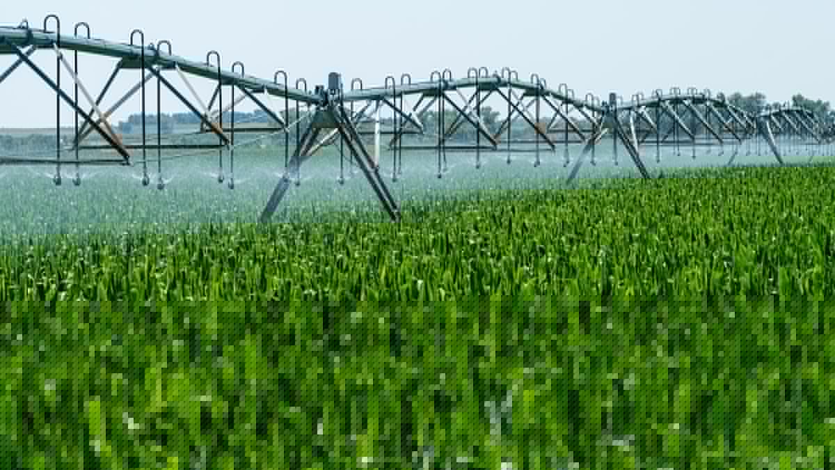 Water rights group slams state Ecology office for permit gridlock