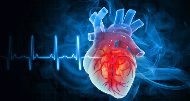 You might be interested in…Cardiovascular Disease Update (Part 1)