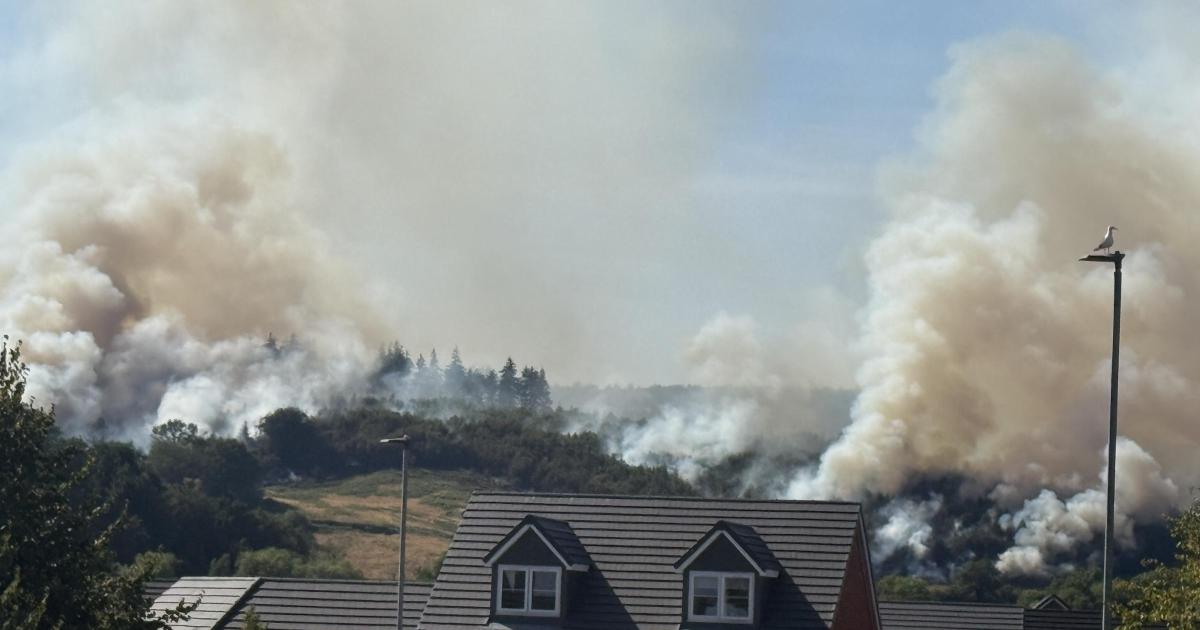Gwent engulfed by wildfire smoke as crews battle four blazes across region