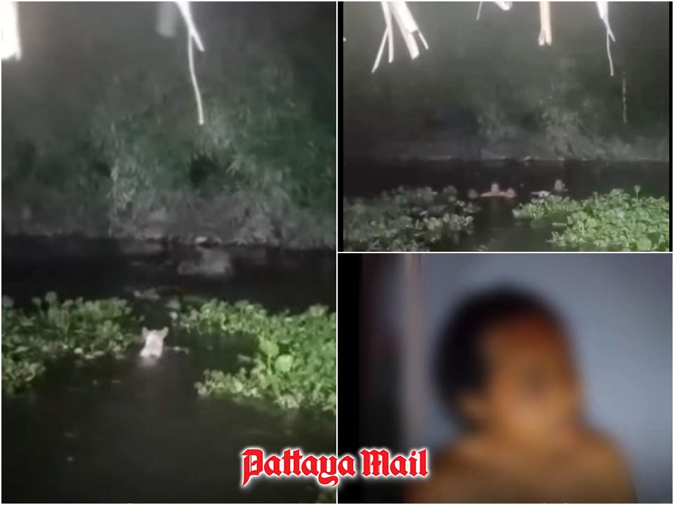Bo the white dog leads tipsy Thai man to safety after midnight pond nap