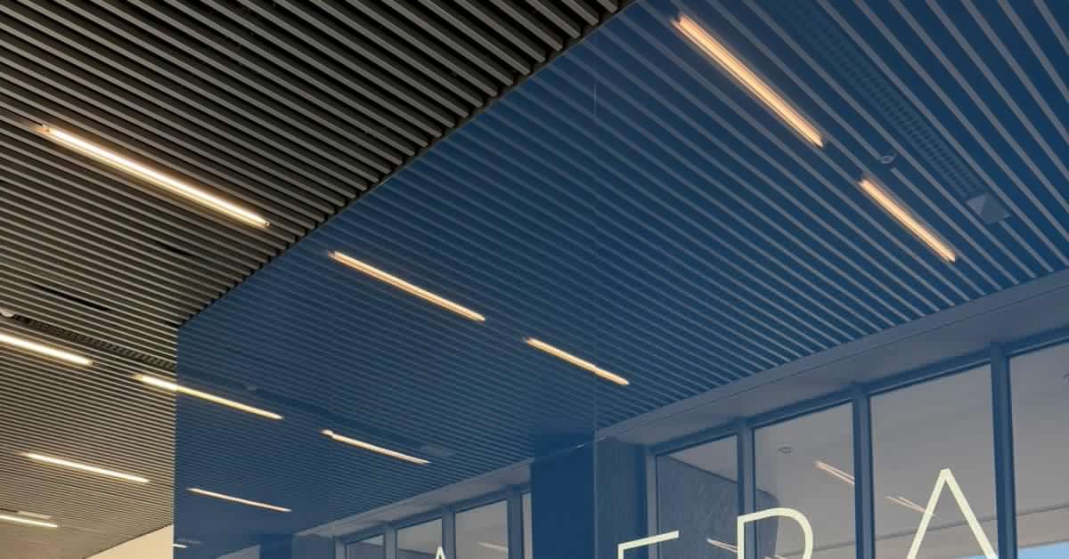 Kaleidook, la apuesta de dos emprendedores gaditanos en la Lanzadera de Juan Roig