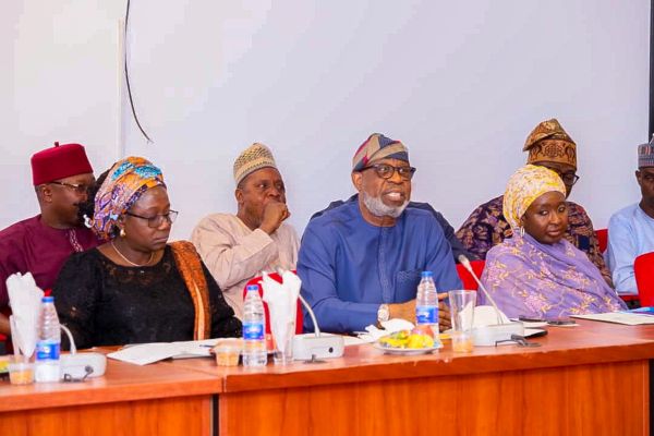 Comment on Joint National Assembly committee rejects proposed N9b capital budget for mining sector by Adelaide Wiggins
