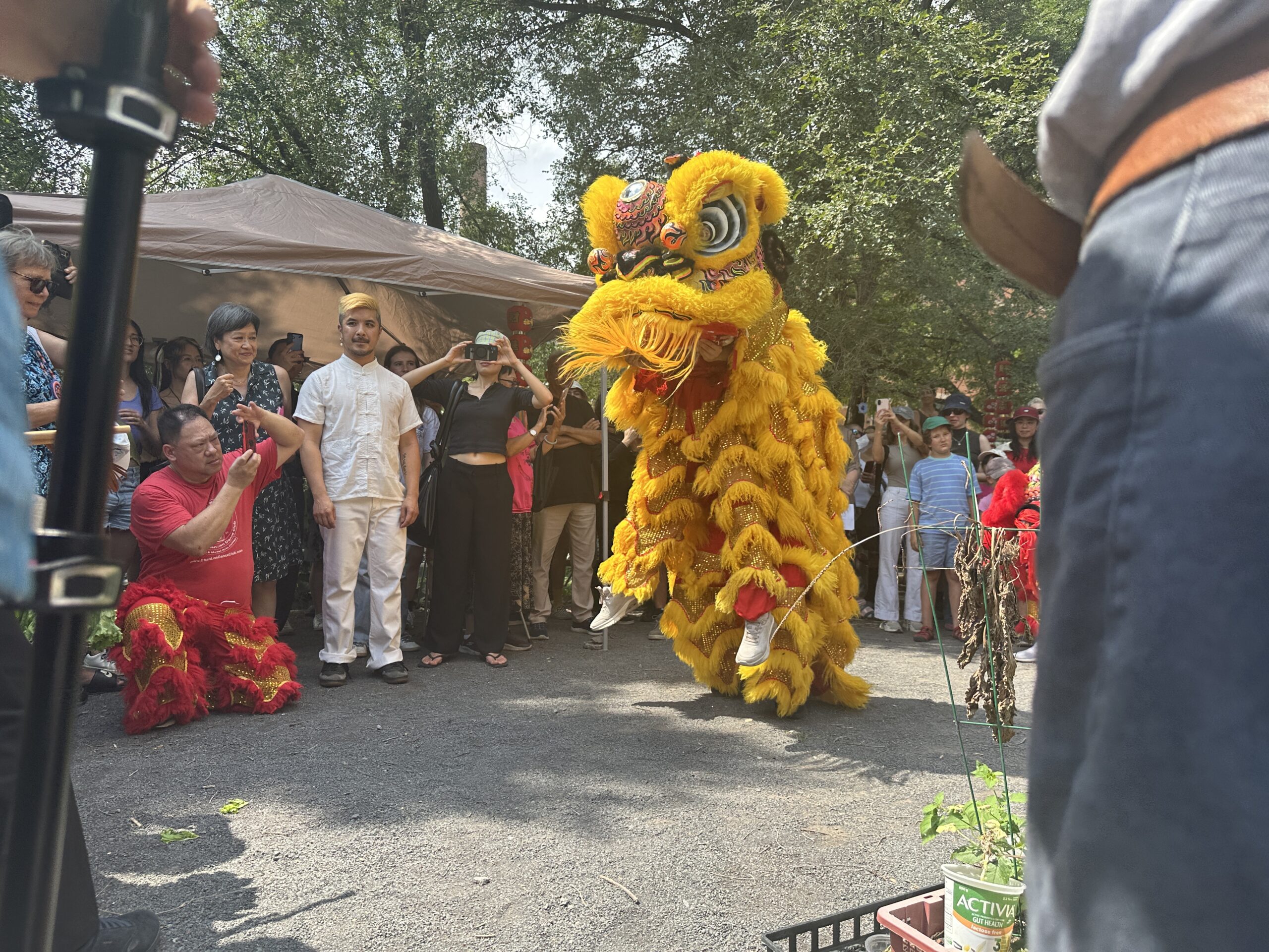 Montreal marks 3rd annual Chinatown Day