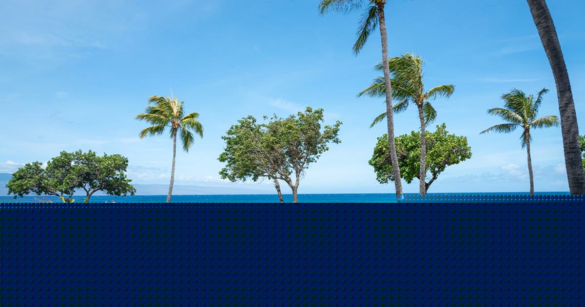 California family members claim they were attacked at luxury Maui resort during violent melee