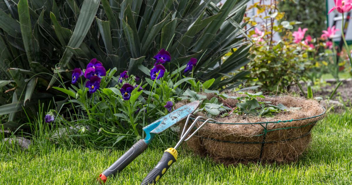The parts of London with the most affordable gardens revealed