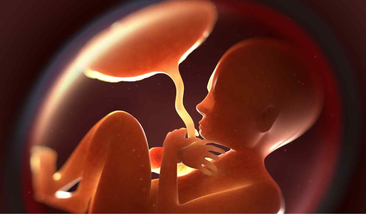 Early Warning: Cord Blood Biomarkers Linked to Placental Inflammation in Preterm Infants, study finds