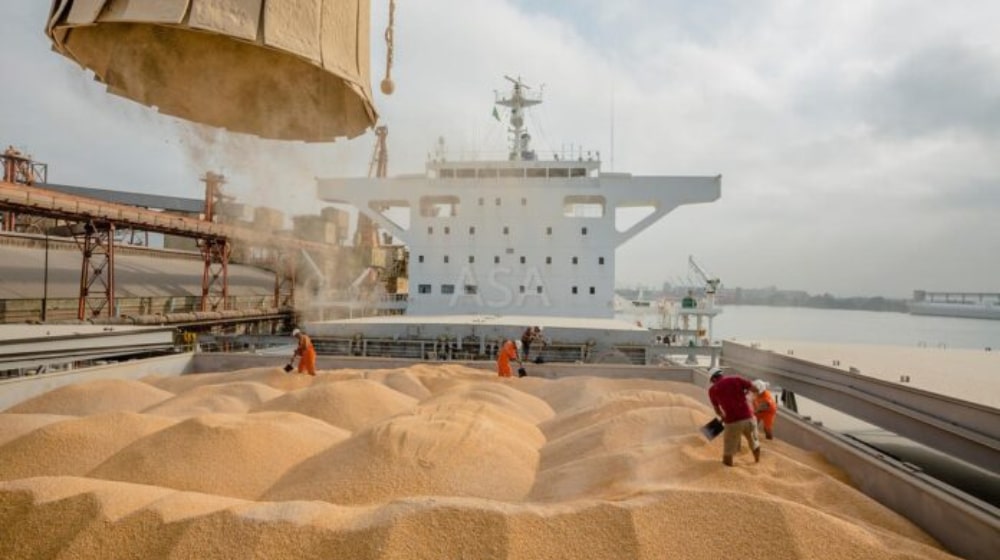 Provinces Refuse to Be Part of Govt’s 1 Million Ton Wheat Import Plan