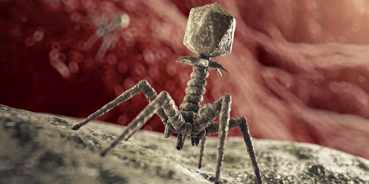 Custom Viruses Are on the Way—And Scientists Are Already Printing Them for You
