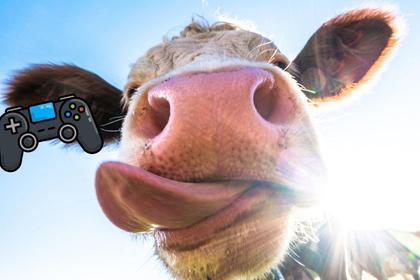 This Gamer Played Far Cry 5 in a Montana Field With A Cow