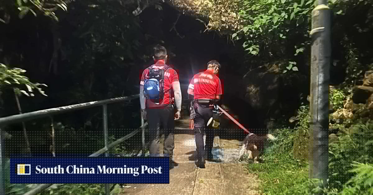 Missing man, 58, found dead in Ma On Shan after days-long search effort
