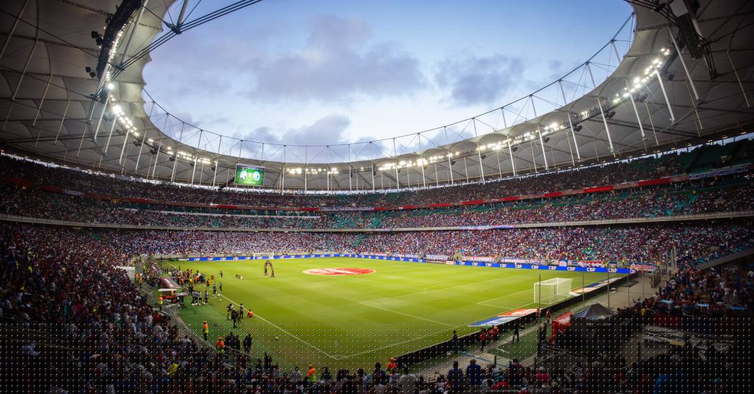 Bahia x Palmeiras no Brasileirão: onde assistir, horário e escalações