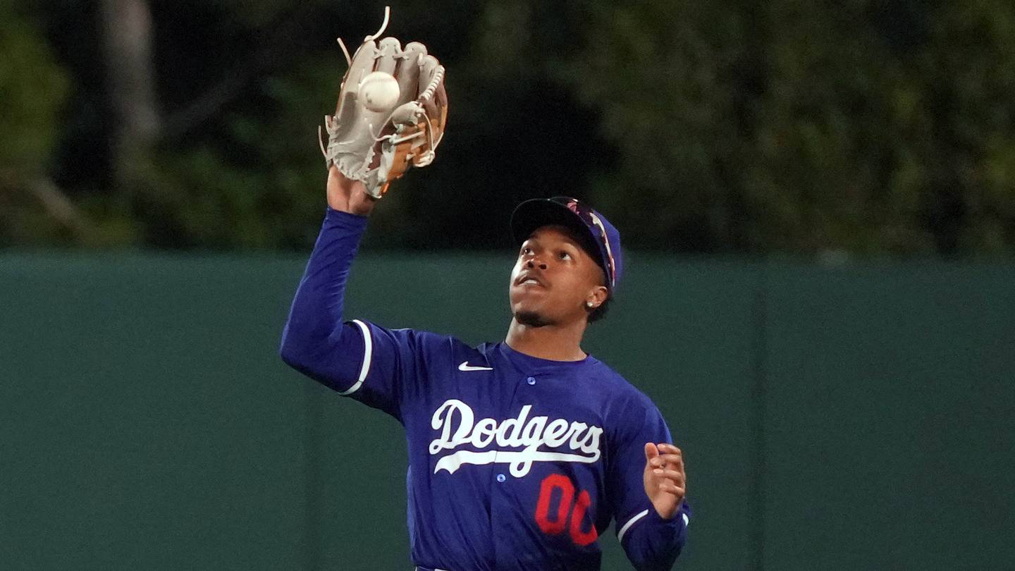 Dodgers prospect just revealed his freak dog injury ended with a surprise surgery twist