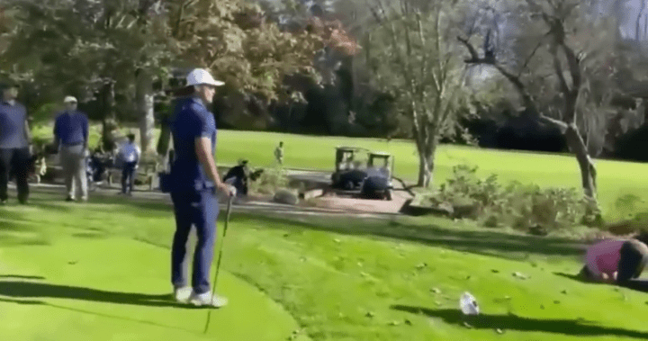Golf course assault charge dropped against Surrey man after he took Alternative Measures course