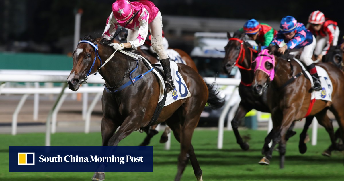 Who wins at Sha Tin? Spring can strike for patient punters