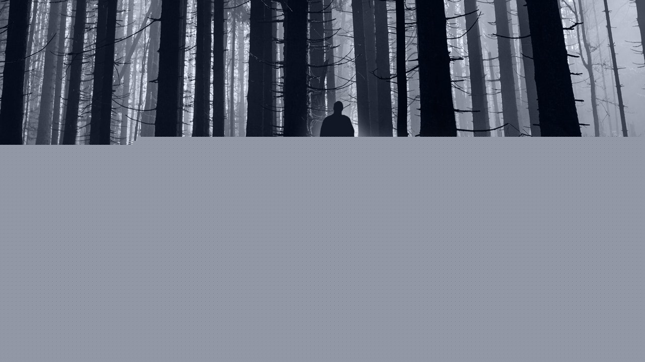 Missing Pieces: Into the Woods, Episode 2: Valerie