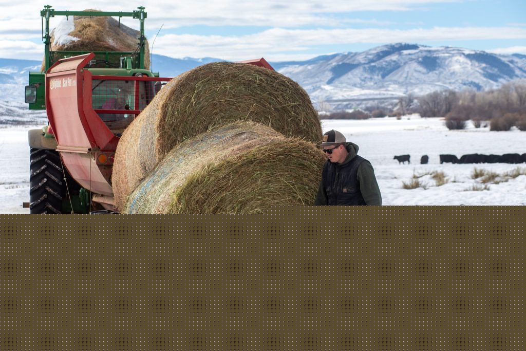 Growing out west: Colorado’s early homesteaders, ranchers lay the foundation for High Country communities