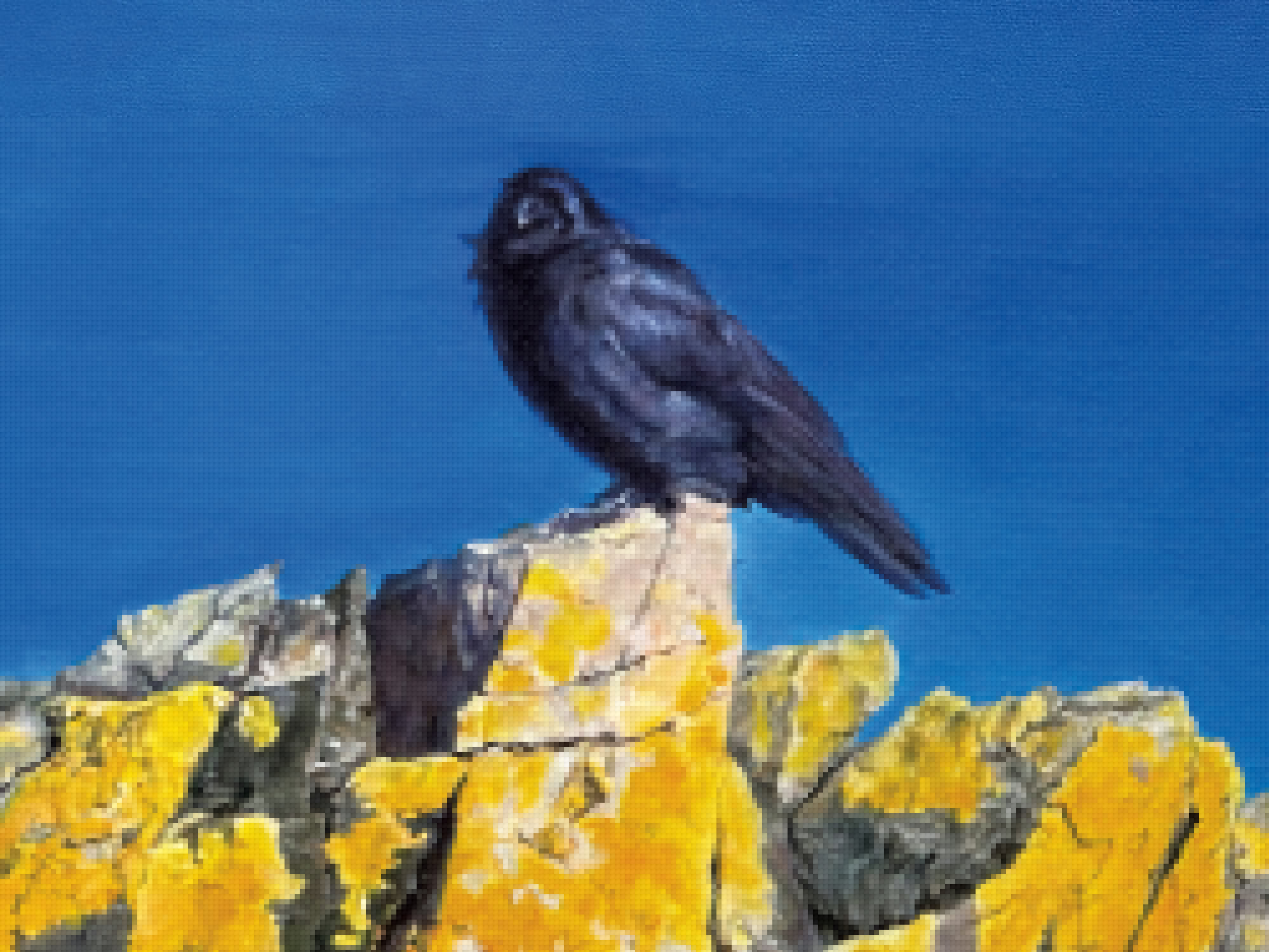Heidi Broner’s Photorealist Paintings Demand Attention