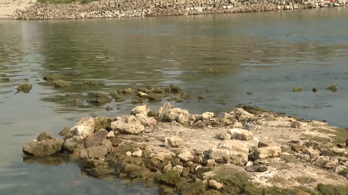 Exceptionally low Danube reveals centuries-old fortification near Novi Sad