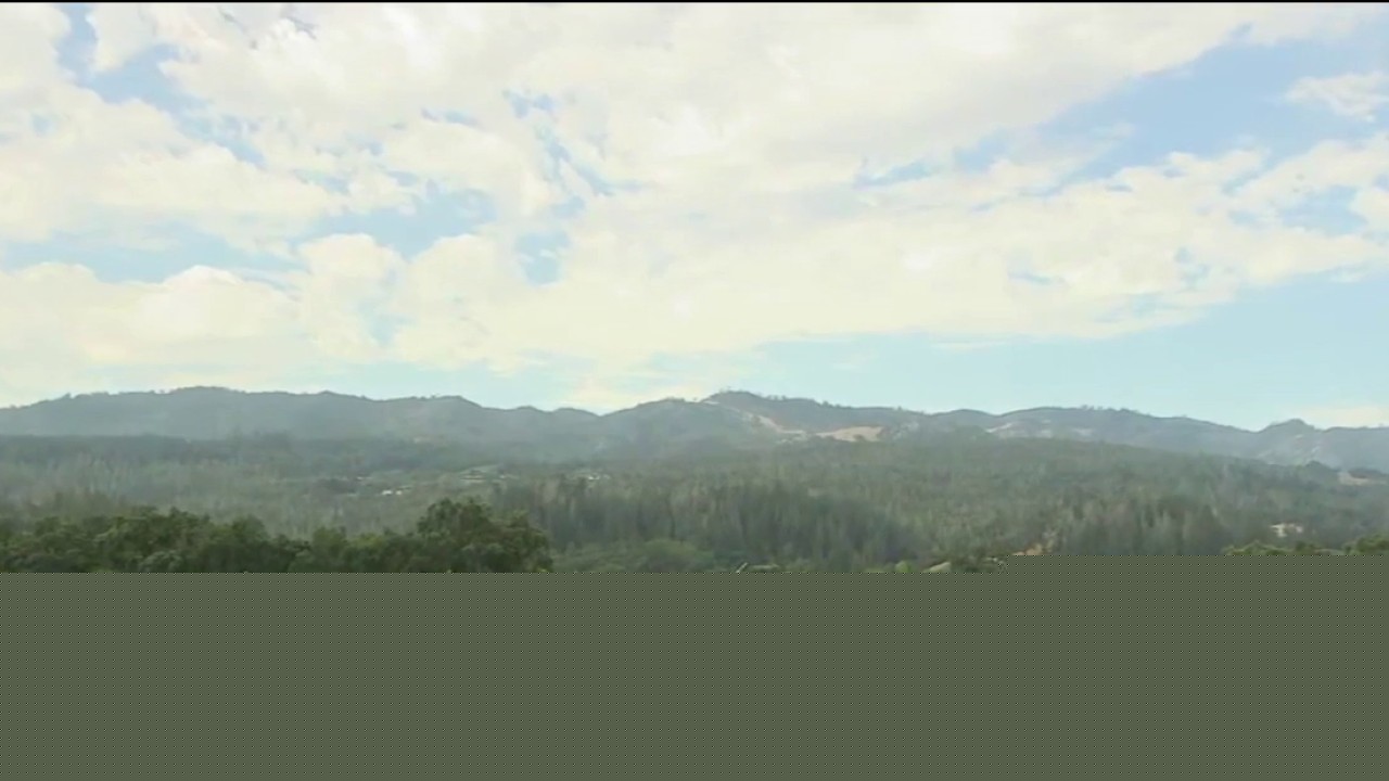 Wine tasting: How pandemic team bonding created a new Napa experience